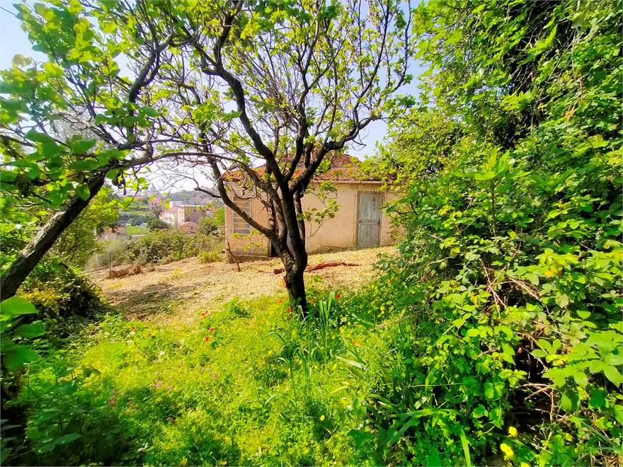 Terreno