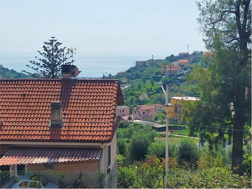 Vista 