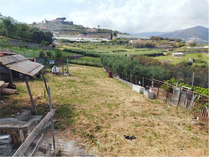 Terreno