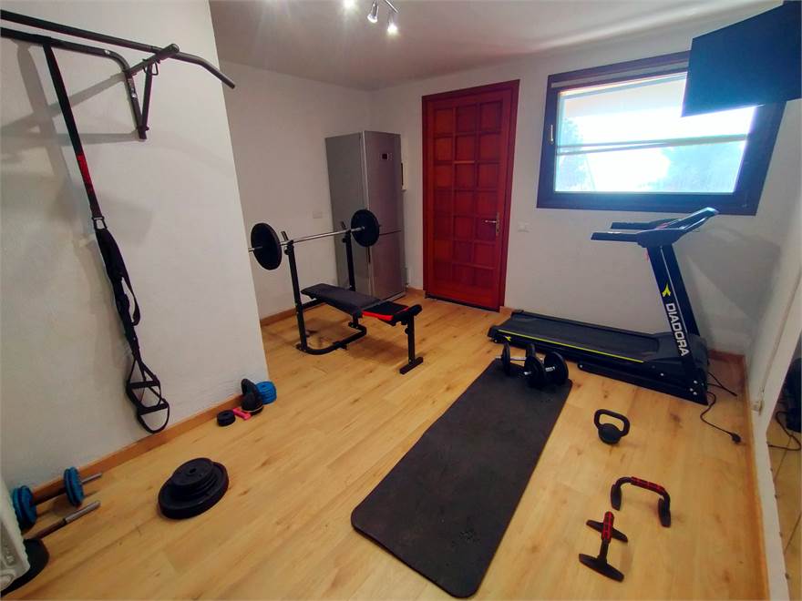 Palestra